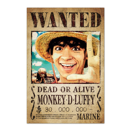 Poster Se Busca Monkey D Luffy One Piece